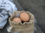 Яйца в мешке